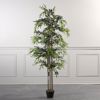 Supergreens Texnito Dentro Bampou Lucky 180cm 0430-6